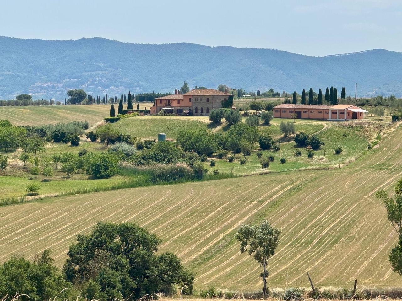 The Valley View